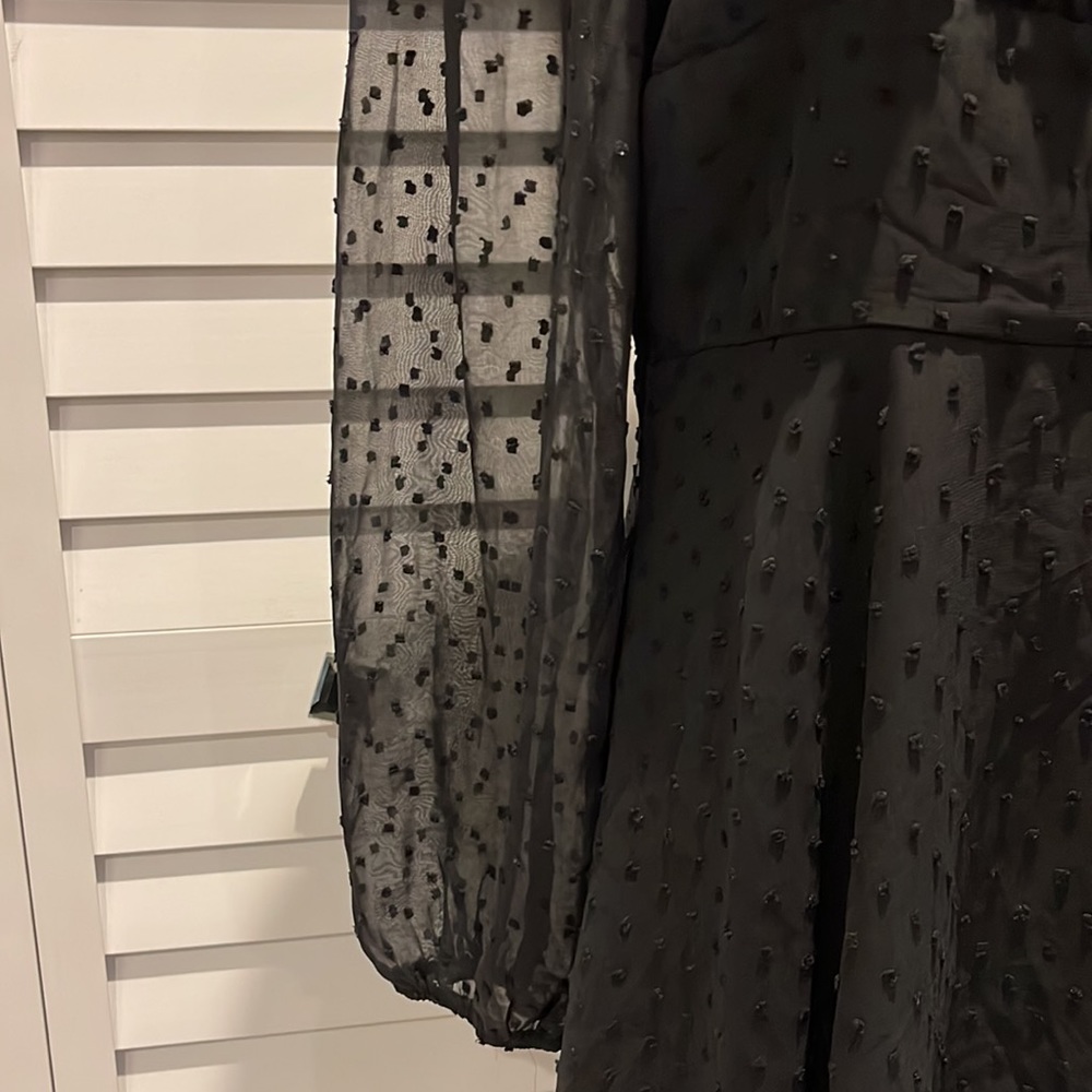 Lyaner Black gorgeous Dress in Swiss Dots Fabric. Long sheer Sleeves, lined. - Picture 4 of 8